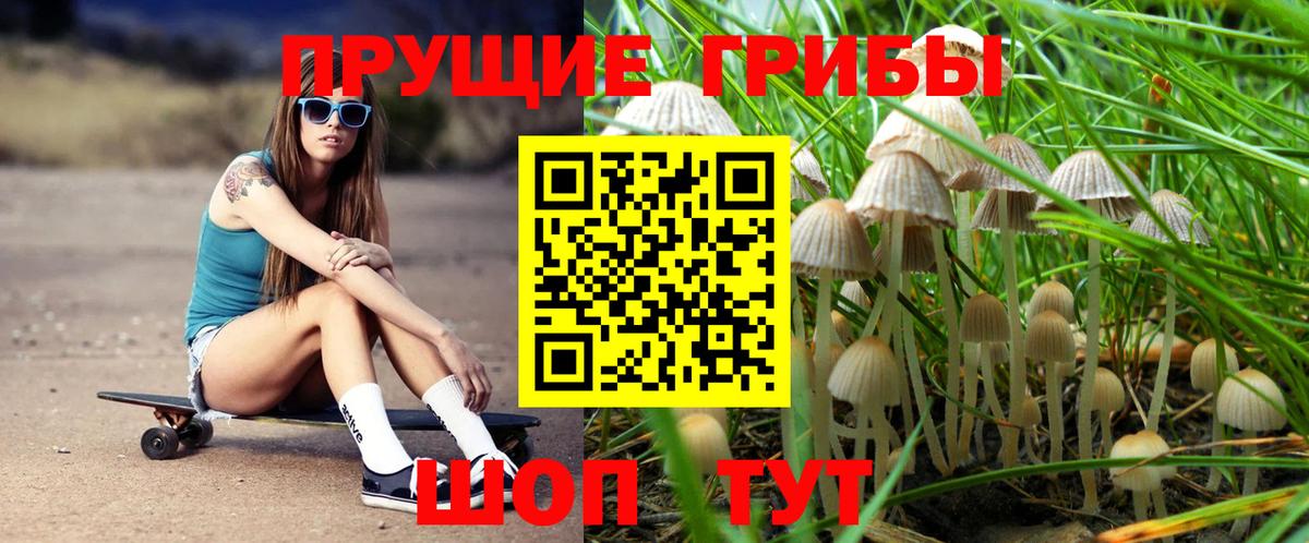 Железногорск  Псилоцибиновые грибы мицелий  Вход с VPN 