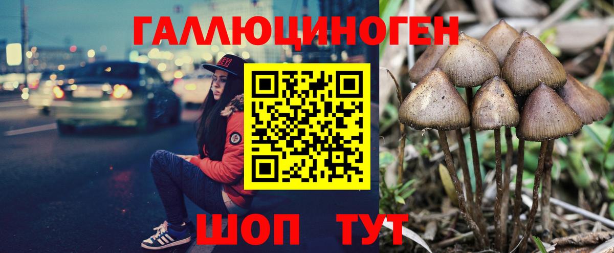 Галлюциногенные грибы MAGIC MUSHROOMS Железногорск